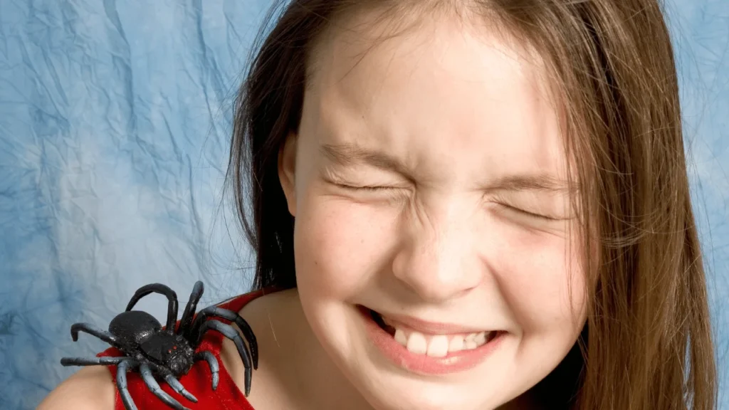 Arachnophobia, Spider Fear