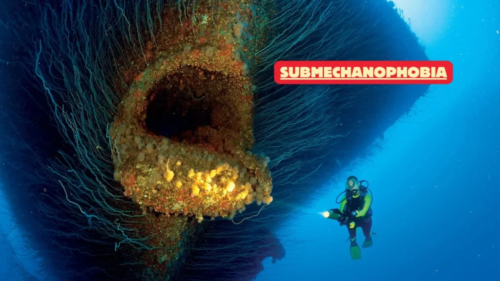What is Submechanophobia? Why 12.5% of U.S. Adults Fear Submerged Objects (Causes, Symptoms & Cure)